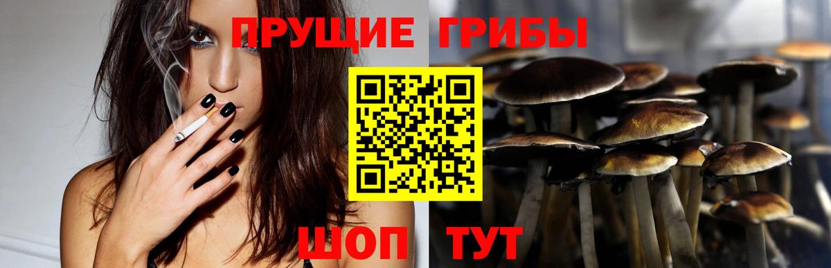 Галлюциногенные грибы Psilocybe Трёхгорный